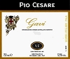 GAVI ITALIANO